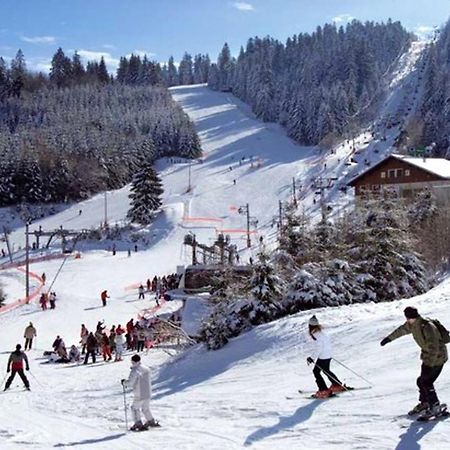 Appartement De 2 Chambres Avec Terrasse Et Wifi A Rochesson A 6 Km Des Pistes エクステリア 写真